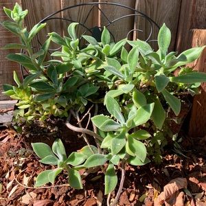 Meet your Posher, Vida